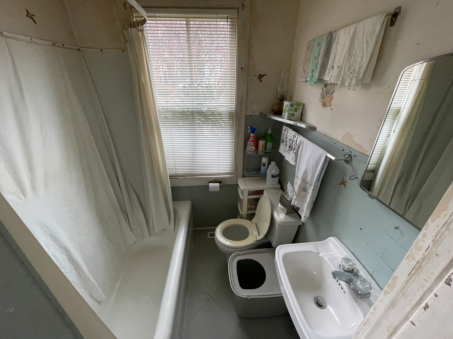 Image gallery image